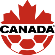Shirt badge/Association crest