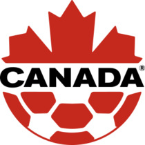 Shirt badge/Association crest