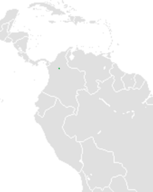 Chestnut-capped Piha Range Map.png