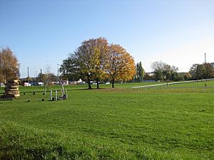 Cross Green playing fields 5 Nov 2016