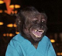 Crystal the Monkey at SDCC 2012 (cropped).jpg