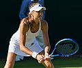 Daniela Hantuchová 5, 2015 Wimbledon Championships - Diliff