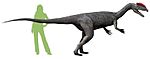 Dilophosaurus NT