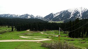 Doodhpathri southwest Jammu Kashmir India (8)
