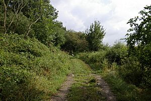Drunkard's Corner, Bernwood Forest - geograph.org.uk - 224969
