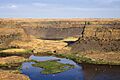 Dry Falls (Washington)