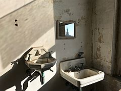 Ellis Island Immigrant Hospital - Two Sinks