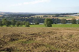 Fields above Kinloch - geograph.org.uk - 1431888.jpg