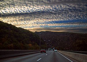 Flickr - Nicholas T - Mackerel Sky