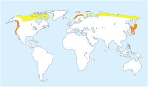 Gavia adamsii map.svg