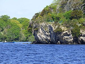 Governors Rock, Ross Island, Lough Leane (geograph 4487175)