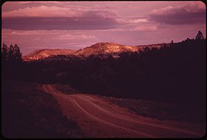 Hills and forests of the Northern Cheyenne
