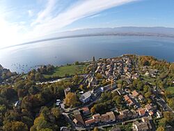 Hermance-aerial-view