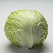 Iceberg1
