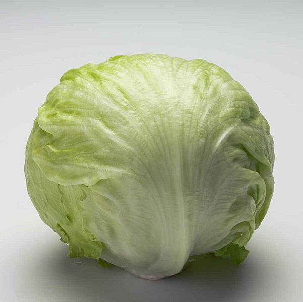 Iceberg1