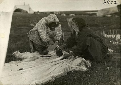 Inuitkvinder skraber rensdyrskind - Inuit women scraping caribou skin (15143756777)