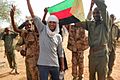 Les rebelles touaregs joignent leurs forces dans le nord du Mali (8248043080)