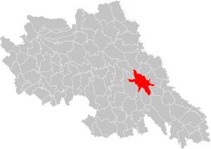 Map of Iași within Iași County.svg