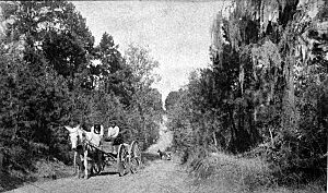 Meridian Road, Leon County, Florida 002