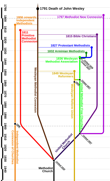 Methodist Family Tree Diagram Vertical