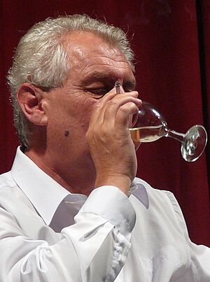 Miloš Zeman and Bohumil Fišer, Brno, 2008 (5) (cropped)