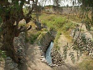 Nazca irrigation 01