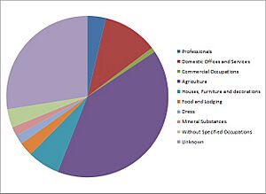 Occupational Structure of Swilland, Suffolk, according to the 1811 Census