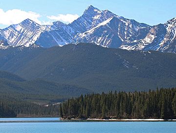 Old Baldy seen from Barrier Lake.jpg
