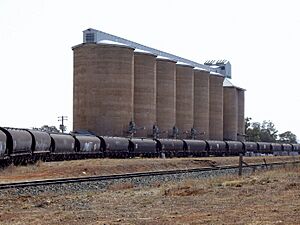 Old Junee - Silos