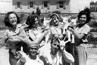 PikiWiki Israel 2941 Kibutz Gan-Shmuel sk27- 123 -גן-שמואלנערות ונערים עם גדיים 1953