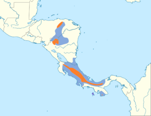 Procnias tricarunculatus map.svg