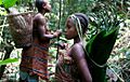 Pygmées (RDC)