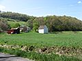 Richard T. Foley Site with buildings