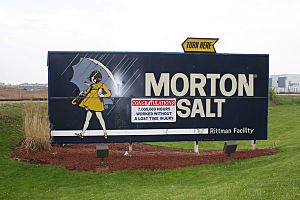 Rittman Morton Salt
