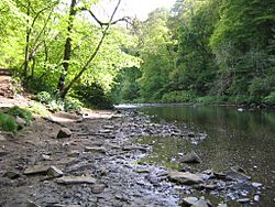 River Avon in Chatelherault Country Park.jpg
