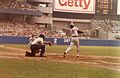 Rod Carew at Yankee Stadium