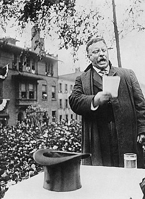 Roosevelt on the Stump, 1912