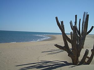 San Felipe, Baja California (20879526259)