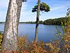 Scenic State Park–Coon Lake.JPG