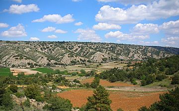 Sierra de Oriche82.JPG