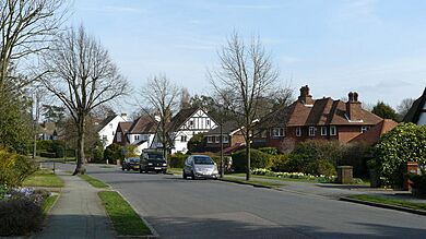 Street Scene, Peaks Hill, Woodcote - geograph.org.uk - 1208689