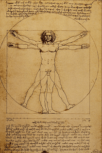 Studio del Corpo Umano - Leonardo da Vinci
