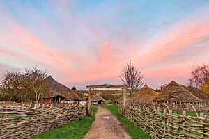 Sunset behind the Iron Age enclosure.jpg