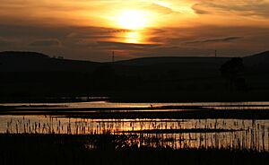 Sunset over Loch of Kinnordy - geograph.org.uk - 1745789