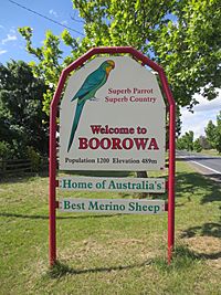 Superb parrot boorowa welcome sign