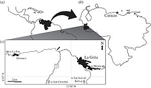 Tachiraptor range map