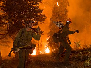 The Springs Fire, Banks-Garden Valley, Idaho, Boise National Forest, August, 2012