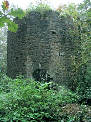 This is the top of the smoke chimney from 18th Century arsenic works located in valley floor - geograph.org.uk - 266545