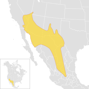 Toxostoma crissale species distribution map.svg