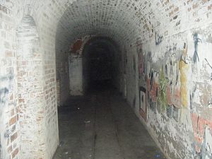 Verne High Angle Battery Portland Dorset Tunnel Inside